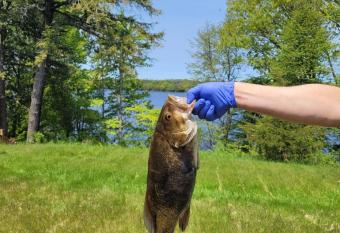 PEC Waterfront has Balcony rooms