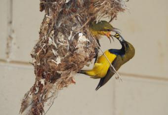 Sunbird Motel allows 18 year olds to book a room