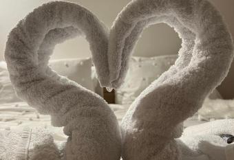 Cozy Oasis allows 18 year olds to book a room