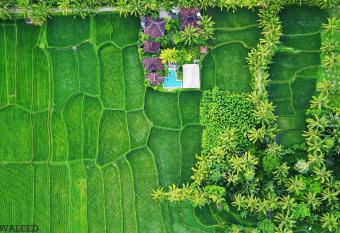 Hati Padi Cottages allows 18 year olds to book a room