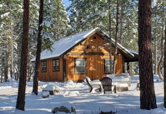 Whispering Pines cabins allows 18 year olds to book a room