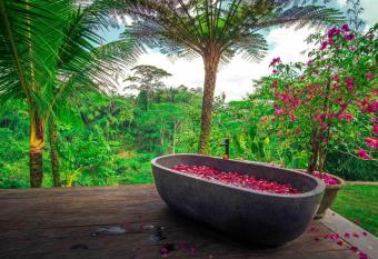 Taro Villas has Balcony rooms