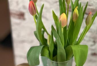 Ferienwohnung WerraLiebe allows 18 year olds to book a room