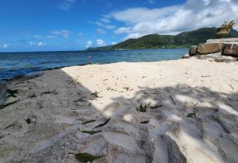 Duplex en bord de mer Fare Tahitea Pension has Balcony rooms