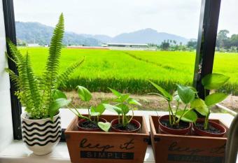 Mai Paddy Cottage, Balik Pulau has Balcony rooms