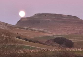 Robins Nest allows 18 year olds to book a room
