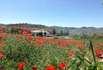 Hotel Arco del Sol has rooms with a private hot tub