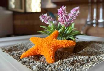 STELLADIMARE Naxos beach allows 18 year olds to book a room