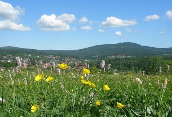 Harzpension Haus K  nigskopf allows 18 year olds to book a room