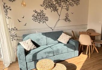 Studio face au Bassin d Arcachon has Balcony rooms