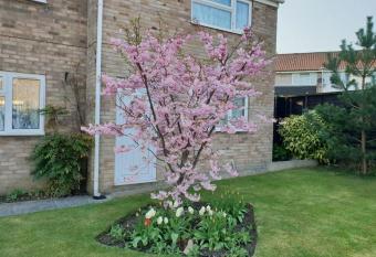 The Annexe allows 18 year olds to book a room
