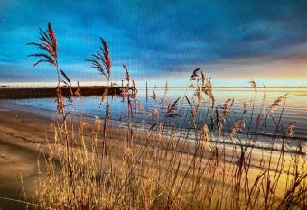 L  tte Stuv allows 18 year olds to book a room