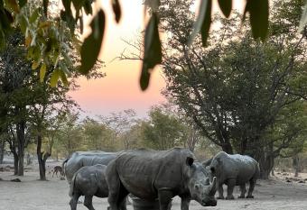 Sukulu Reserve has Balcony rooms