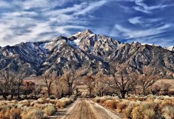 Eastern Sierra Motor Lodge has Balcony rooms