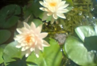 Artgarden Juan dolio has Balcony rooms