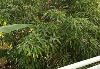 Vacances agr  ables c est ici has Balcony rooms