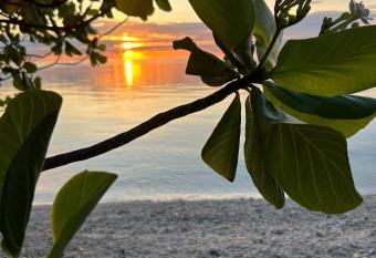 Fare Tohonu Rangiroa Bliss has Balcony rooms