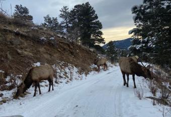 Colorado Bed & Breakfast with beautiful views has rooms with a private hot tub