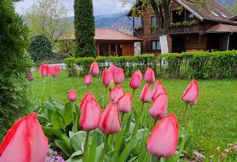 Casa Amalia Tocile -Sadu has Balcony rooms