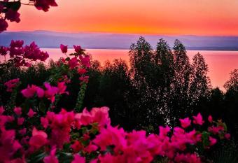 Apartment F14 - Samarah Resort has Balcony rooms