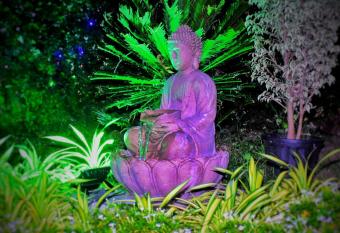 Comforts Stays Kihim has Balcony rooms