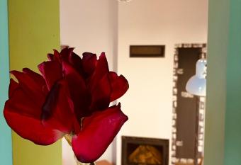 Noua Apart has rooms with a private hot tub