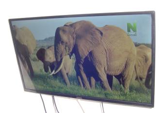 Tanzanit has Balcony rooms