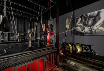 World Of Ecstasy - Apartament BDSM allows 18 year olds to book a room
