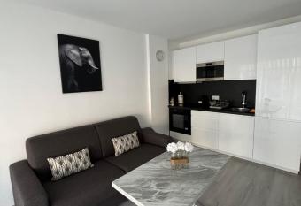 Apartment Juan Les Pins in the heart of town with its merchants allows 18 year olds to book a room