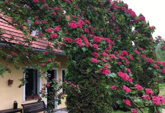 Bakonyi Kemenc  sh  z has Balcony rooms
