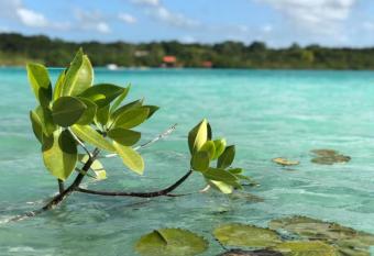 Villa Azul Xulha has Balcony rooms