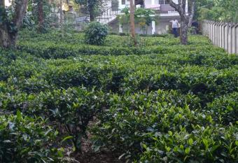 Tony   s Nest has Balcony rooms