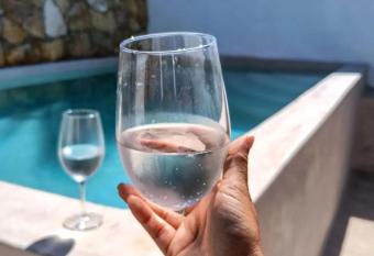 La Conchita de Sisal 2 has Balcony rooms