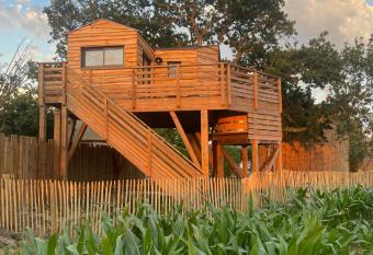La Cabane dans les Arbres - Les Pieds dans le Pr   has Balcony rooms