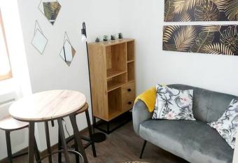 T2 cosy vieux Montlu  on allows 18 year olds to book a room