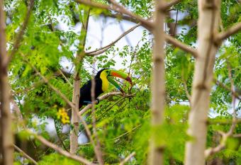 Rio Celeste, Aire Acondicionado, Comodidad has Balcony rooms