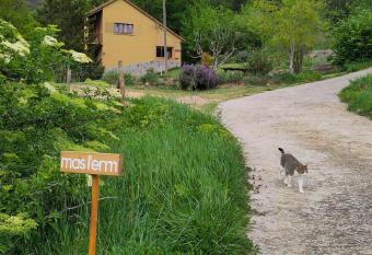 Apartament a Mas l Erm has Balcony rooms