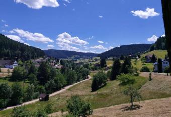 Wohnung im Tonbachtal/ Baiersbronn mit Traumausblick has Balcony rooms