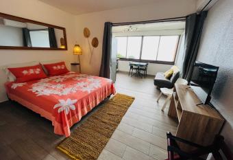 Studio Anaiti - Calme, proche centre-ville, ferry & a  roport allows 18 year olds to book a room