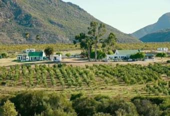 Bronze Grove Farm and Chalets has Balcony rooms