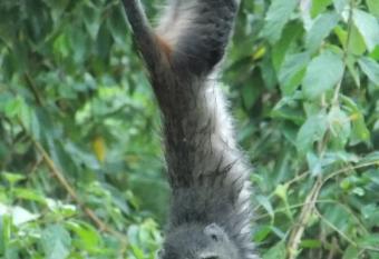 Songota Falls Lodge has Balcony rooms