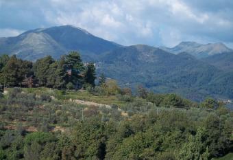 Caddelovi allows 18 year olds to book a room