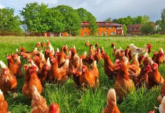 Biohof Medewege has Balcony rooms