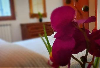 Sieve Flower has Balcony rooms