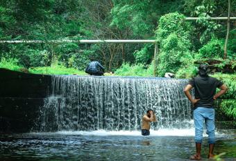 Nest Homes has Balcony rooms