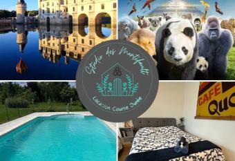 Studio proche Beauval et Ch  teaux de la Loire has Balcony rooms