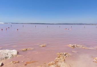 Marina apartman allows 18 year olds to book a room