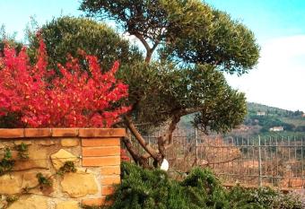 Olivo Bonsai allows 18 year olds to book a room