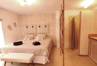 Studio Alpilles avec parking et spa privatif allows 18 year olds to book a room