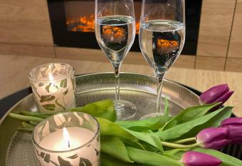 Apartament nad jeziorem D  ugim Le  na # 32 allows 18 year olds to book a room